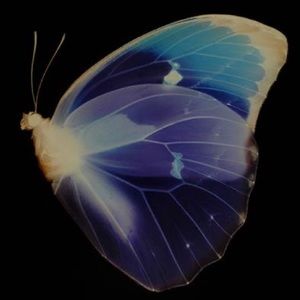 Meet your Posher, Khadijah